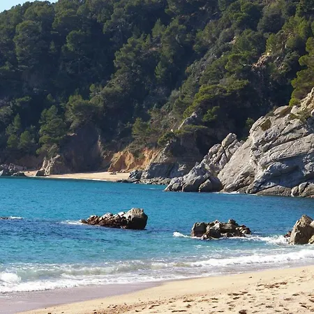 Apartment Cala Llevado 2